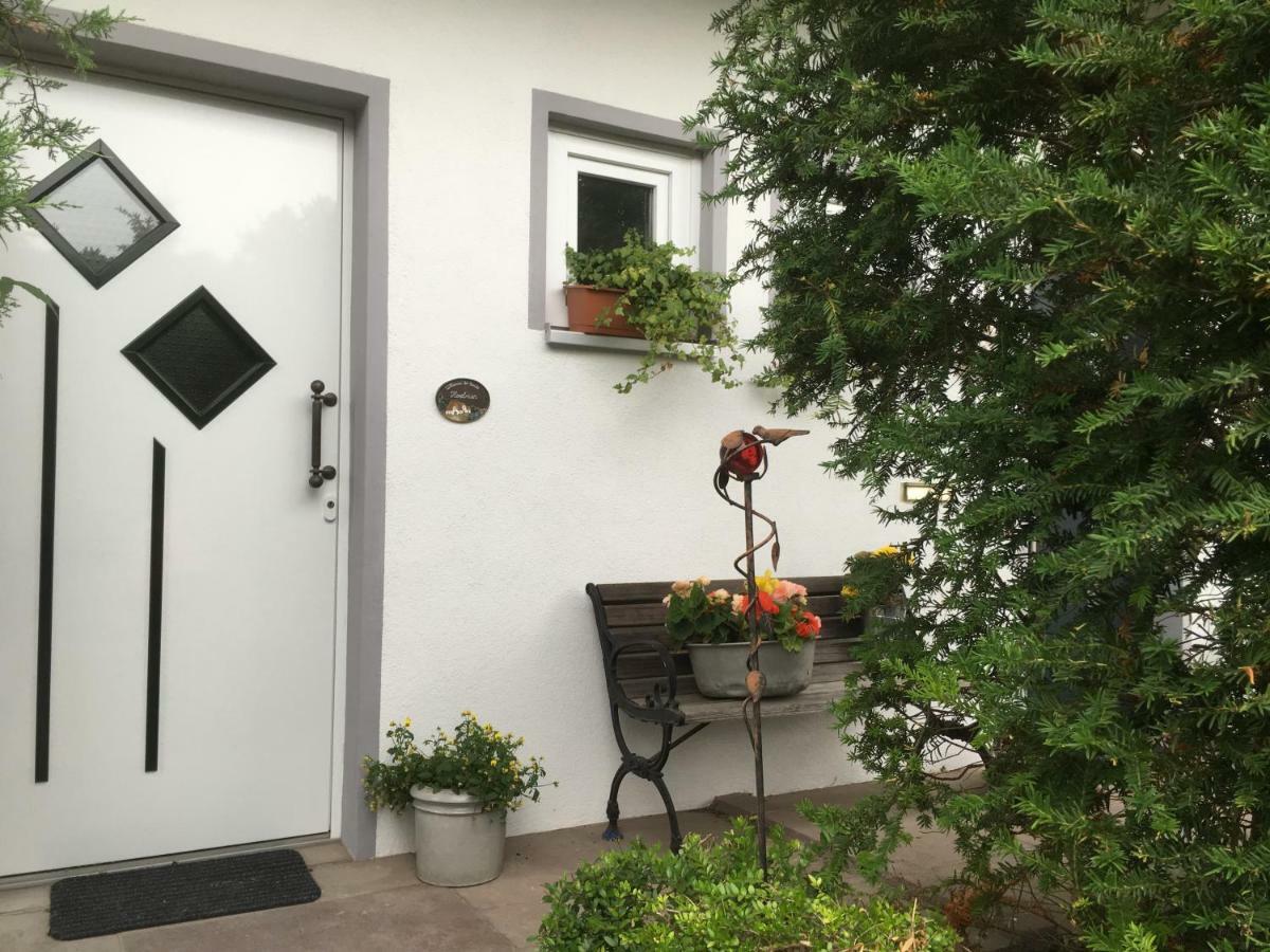 דירות האמלן Ferienhaus Sonnenblume מראה חיצוני תמונה